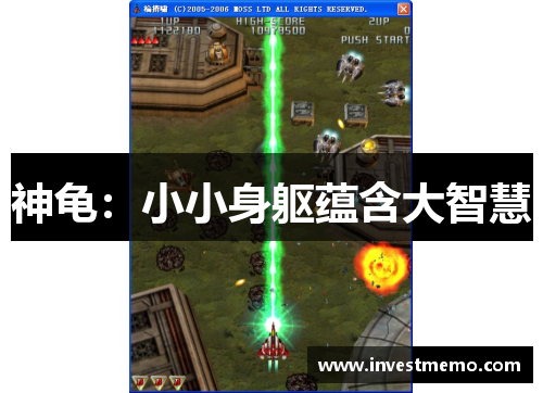 神龟：小小身躯蕴含大智慧